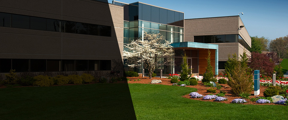 Shannon Landscapers