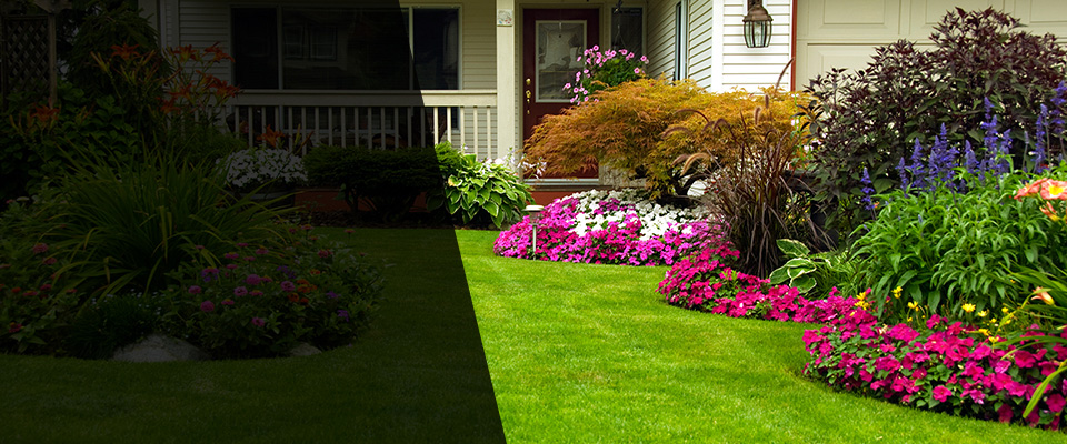 Shannon Landscapers