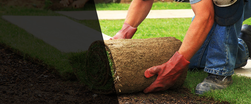 Shannon Landscapers